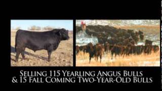 AB Cattle, Bassett, Neb., Annual Bull Sale, April 7, 2011