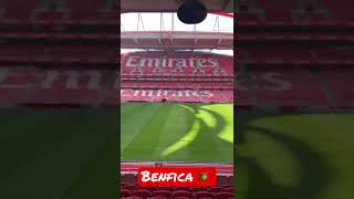Estádio do Benfica 🇵🇹 #futebol #futeboleuropeu #benfica #lisboa #futebolraiz #estadios #portugal