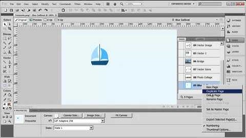 Tutorial: Adobe Fireworks CS5 for Beginners Lesson 8 - Using Pages