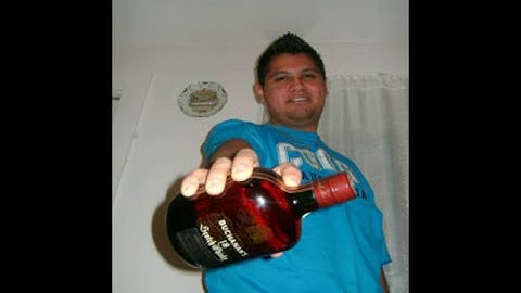 pitbull   maldito alcohol