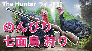 ライフルで七面鳥狩りに挑戦【theHunter: Call of the Wild】 screenshot 3
