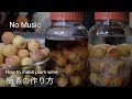 【音フェチ】冷凍梅で簡単梅酒の作り方（南高梅）　【ASMR】 Easy with frozen plum How to make plum wine