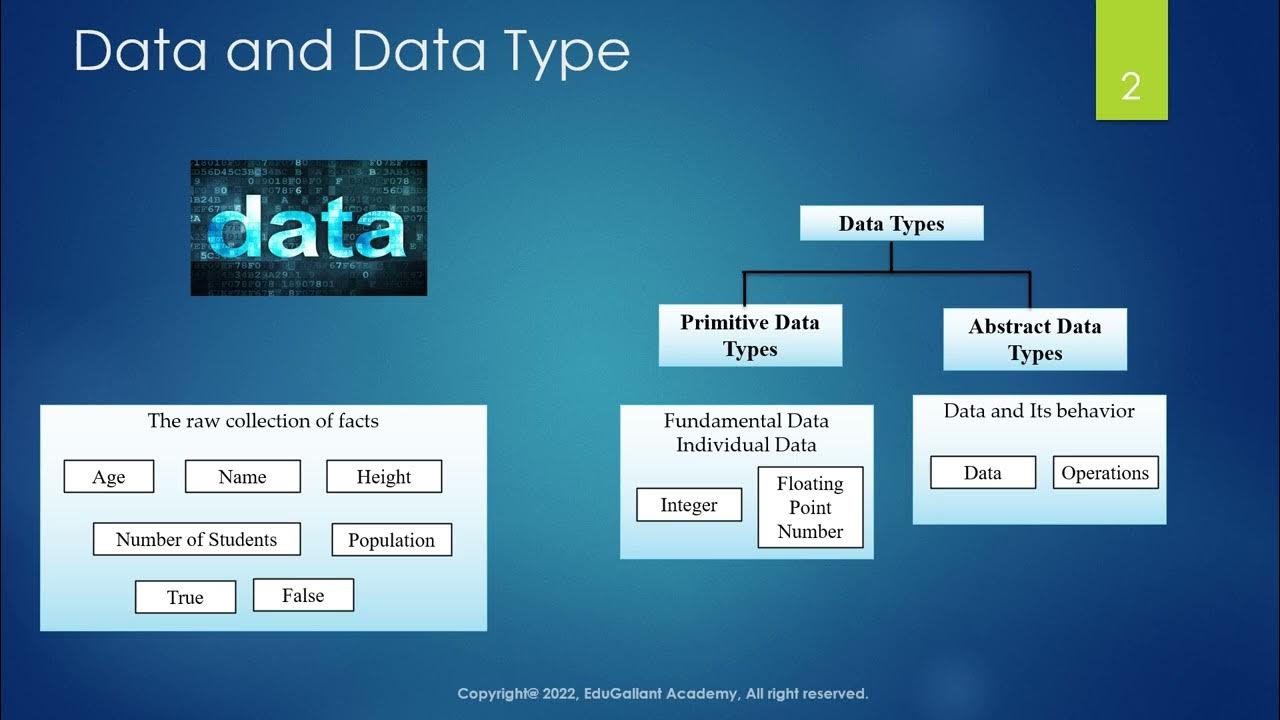 Overview of Data Structures - YouTube