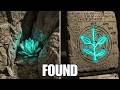 The Sumerian Tablet That Names the Plant That Restored Youth — And Where the Last One Grows