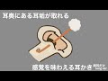 【ASMR】耳奥にある耳垢が取れる感覚を味わえる耳かき 両耳だけ Ear Cleaning 【No Talking】