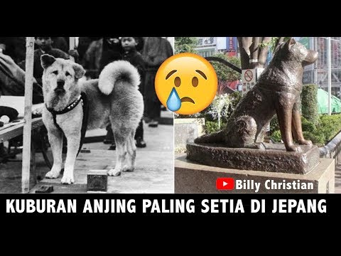 Kuburan Anjing Paling Setia Di Jepang Kisah Sedih Hachiko Bily