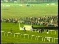 1979 William Hill Scottish National Handicap Chase - YouTube