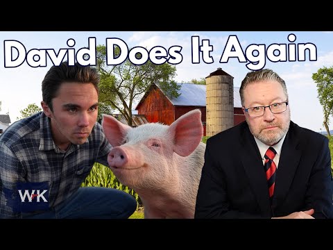 When a Hogg Starts Acting Like a Pig