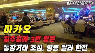 일주일에 3번씩 마카오 카지노를 방문하면 벌어지는 일