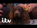 This Time Next Year | Millie's Dream of Independence Rests on Her Dog | ITV