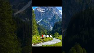 ₹1 Lakh Around The World 🗿 #shorts #viralvideo #facts #money #luxury #amazingfacts