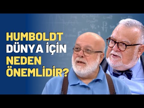 Video: Humboldt ne yaptı?