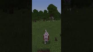Mc Skin Loader Version 0.04 (Trailer) #cape #minecraft