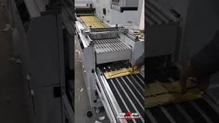 Rotary die cutting machine IML label factory