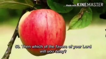 سورة الرحمن كاملة بصوت الشيخ ميثم القيسي