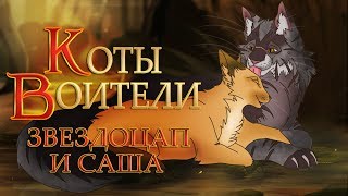 КОТЫ ВОИТЕЛИ | Звездоцап и Саша. 10 серия. Озвучка манги.