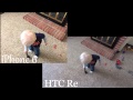 HTC Re vs iPhone 6 Picture Quality