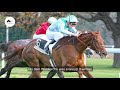 ARC HERO WALDGEIST CALLS IRELAND HOME
