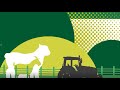 Caprinos e ovinos: produção sustentável no Semiárido