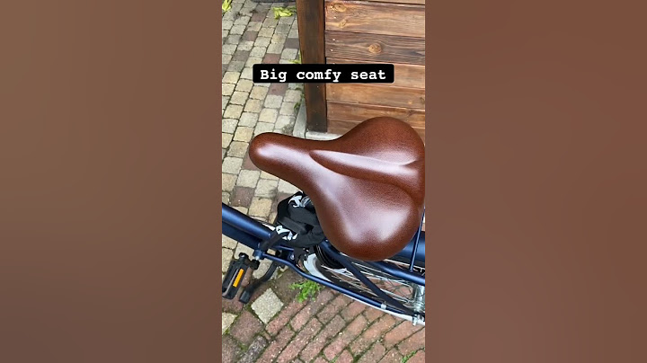 What is so special about DUTCH bikes? It is easy to bike in the Netherlands! #shorts