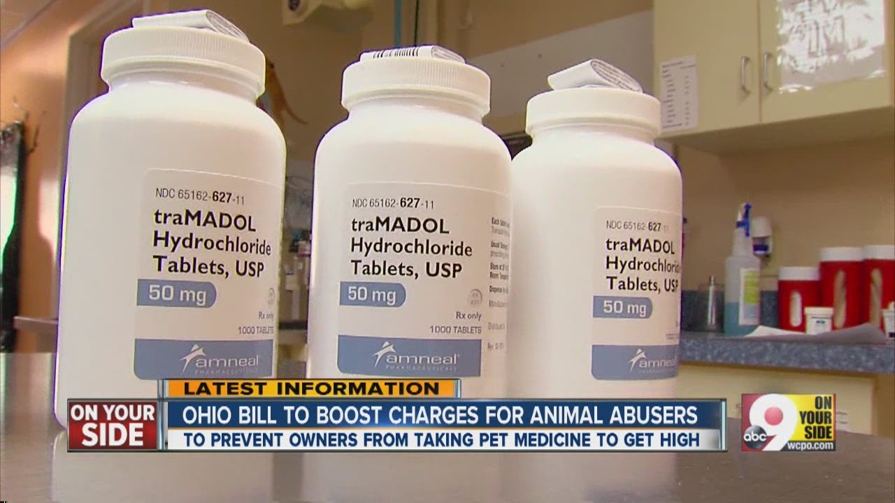 ohio animal age selling law ohio animal age selling law