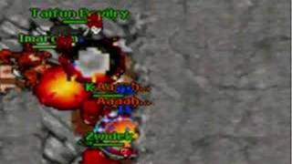 Tibia Taifun Devilry Dead
