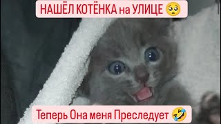 НАШЁЛ  КОТЁНКА на УЛИЦЕ 🥺 А Она теперь НЕ хочет Меня Отпускать!🥺🤗