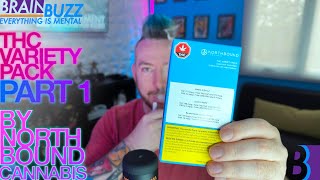 Vape Cart Review Part 1: THC Variety Pack by Northbound Cannabis