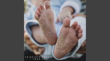Primeiros Passos