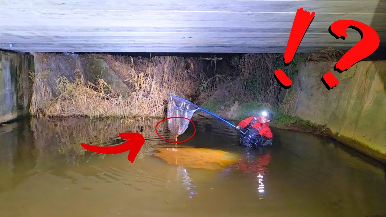 橋下の深い水底の泥を掬うと謎の生物が眠っていた！？【琵琶湖ガサガサ探検記151】