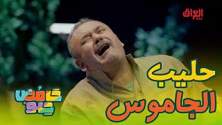 لعد لو شاربين حليب بعير جان شصار 🤣