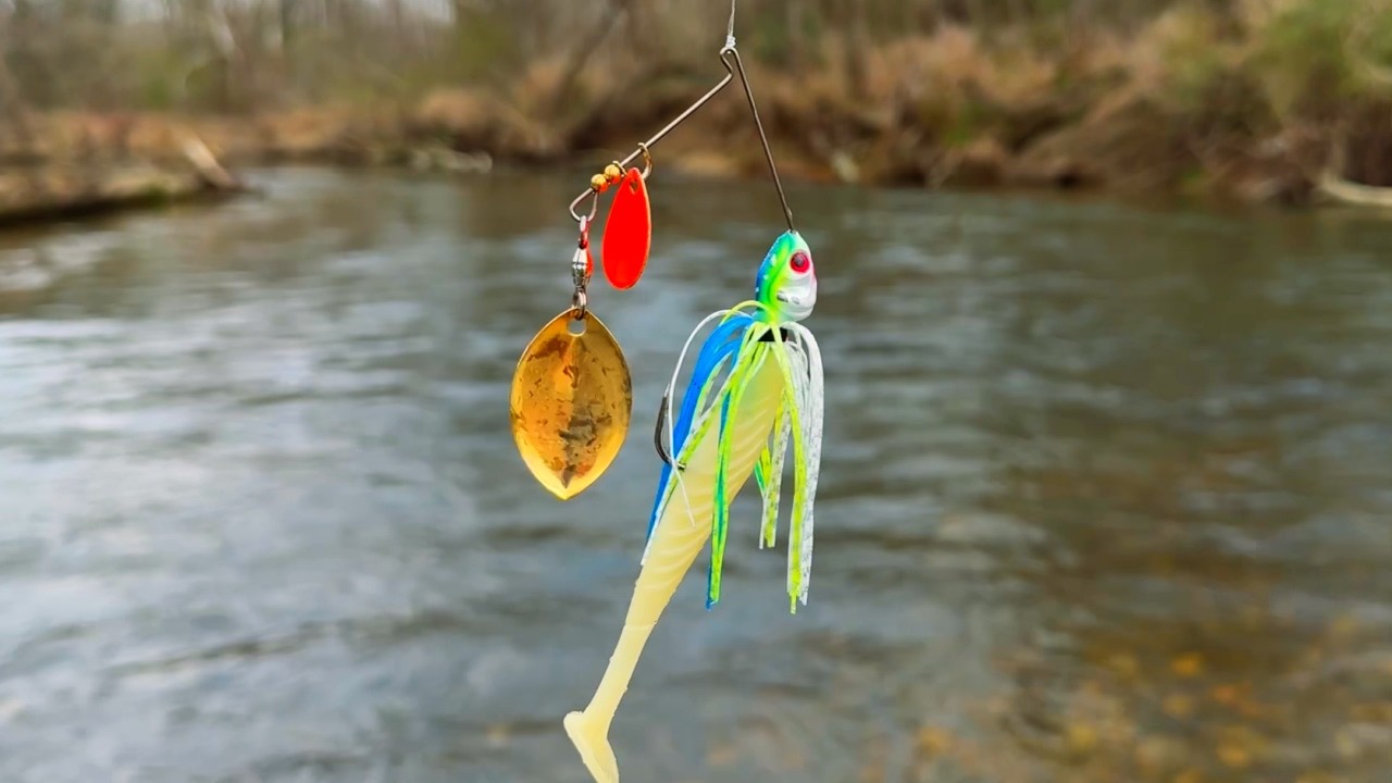 Creek Fishing Adventures