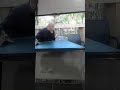 الممثل علي بناصر في سلسلة مول الفيرمة كي ناظ وهاج الممثل علي بناصر في سلسلة مول الفيرمة كي ناظ وهاج
