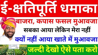 ई-क्षतिपूर्ति धमाका बाजरा कपास फसल मुआवजा सबका आ गया लेकिन मेरा नहीं आया क्या करूं कैसे मिलेगा