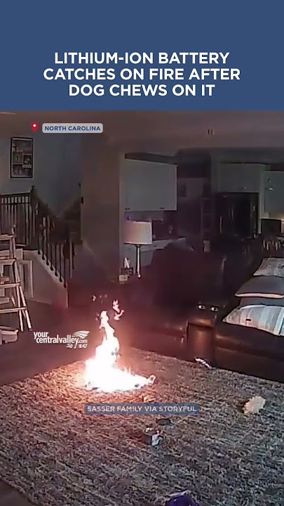 A lithium-ion battery caught on fire after a dog chewed on it #fire #lithiumbattery #dog
