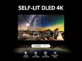 LG C3 83” OLED evo TV Review 2026  Best Large Screen 4K OLED Smart TV for Movies &amp; Gaming