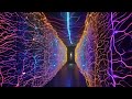 @ctivate protocols - hARSH mELLOW sORES
