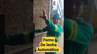 queimar p comer e dirigir, lenha automática. link do vídeo completo nos comentários