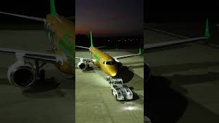 Repco-Brabham BT19 x Alliance Airlines Partnership