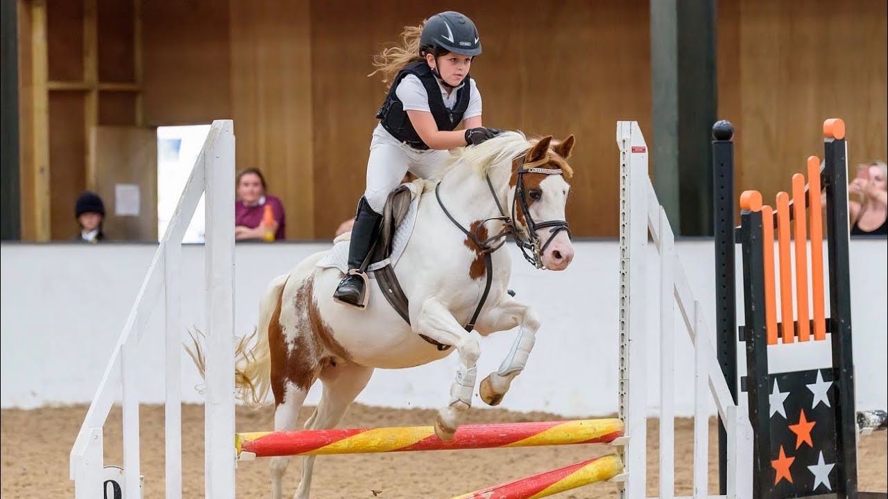 Showjumping at Topthorn arena