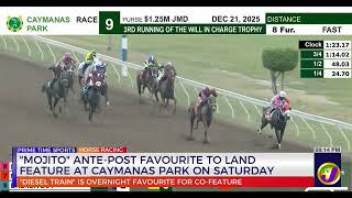 Mojito Ante-Post Favourite To Land Feature At Caymanas Park On Saturday Tvj Sports