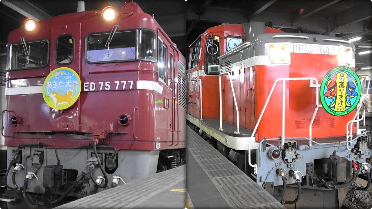 懐かしの旧客！ ED75あきた犬号・DE10男鹿なまはげ号(新幹線到着) 秋田