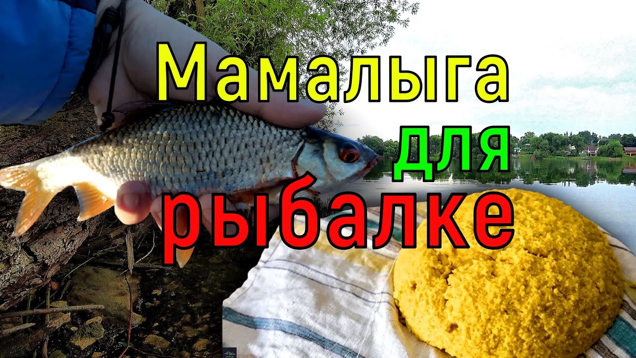 Мамалыга для мирной рыбы. Тесто для рыбалке. Приготовление рецепт ...