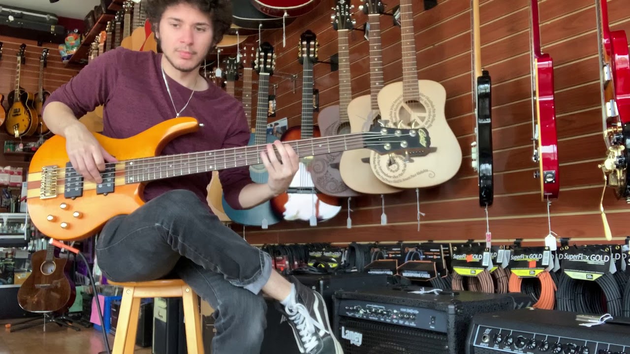 Copley 5 String Bass Guitar YouTube