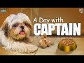 A Day With Captain || #AlekhyaHarika || Captain Mom