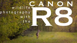 Wildlife Photography with the Canon R8 vs R7:  Same Price, Who Wins?