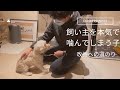 【噛み】ルール作りが重要!〜改善への道のり〜