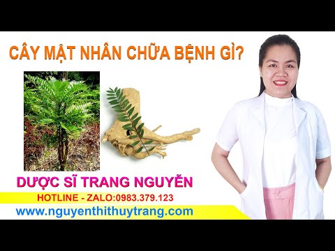 Video: Chăm sóc cây mật nhân - Cây mật nhân mọc như thế nào và ở đâu