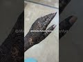 SHOW SOME LUV LIKE COMMENT AND SHARE | Mehndi Art By Syeda Haniya | #MehndiArtist