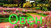 ТАРО-ОРАКУЛ-ГАДАНИЯ